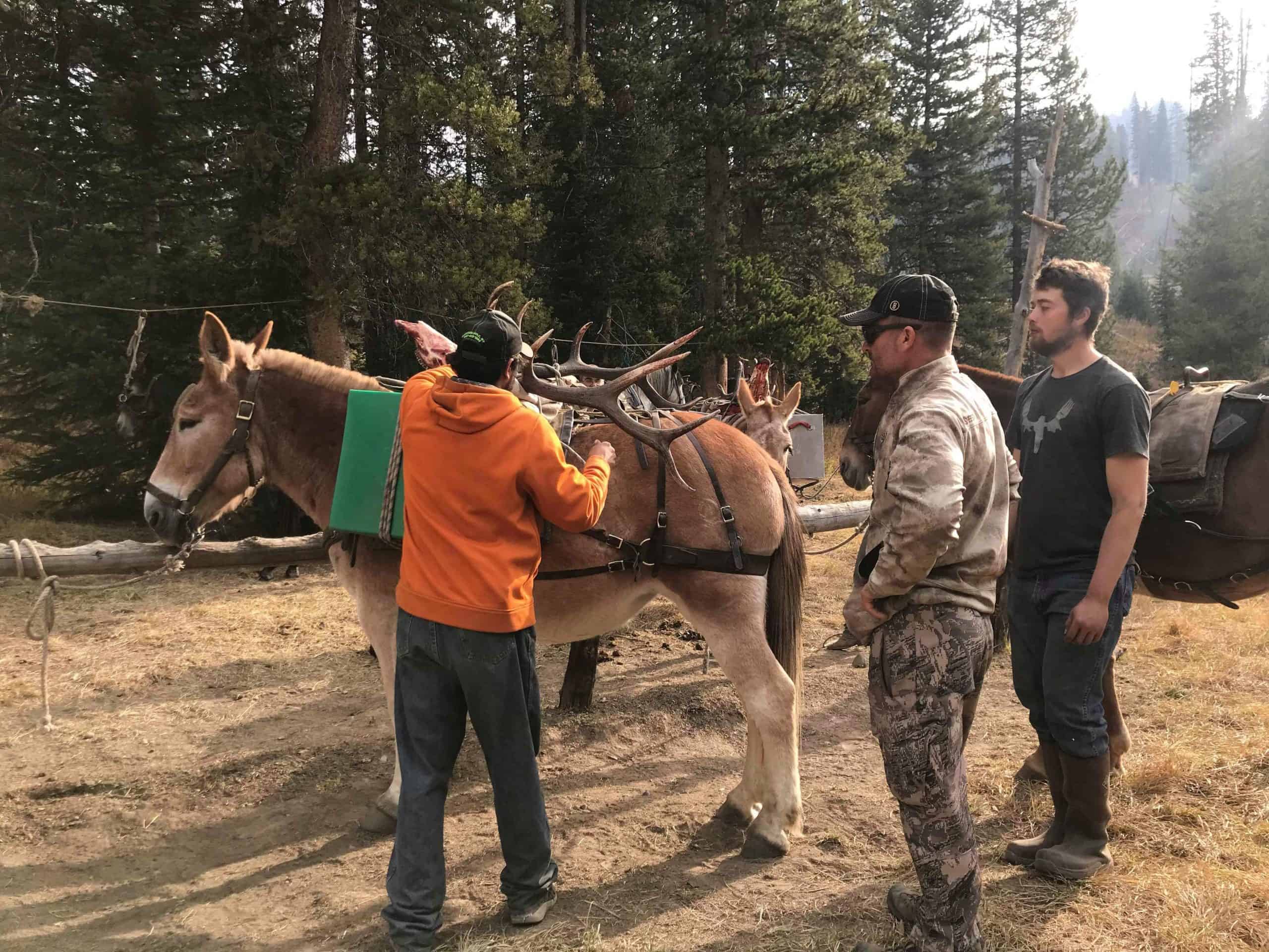 Guide School Packing Antlers