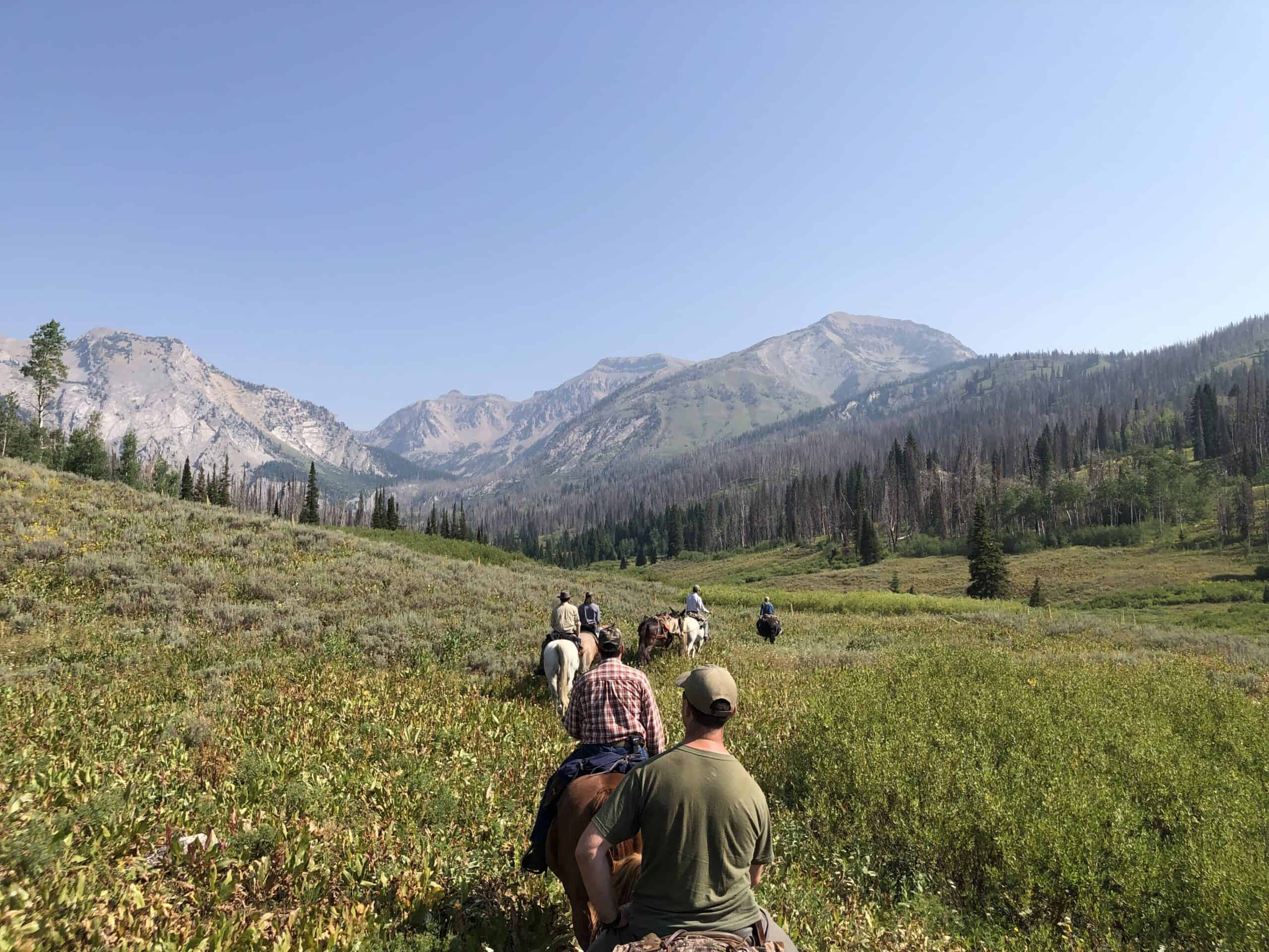 Wyoming Fly Fishing